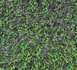 Kunstgras tommy_8